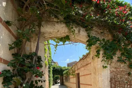 Maison avec piscine et jardin méditerranéen à Ste Marie La Mer : photo 39