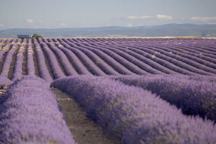 103895, avec piscine dans le magnifique Luberon - 611 JOU - Photo 17