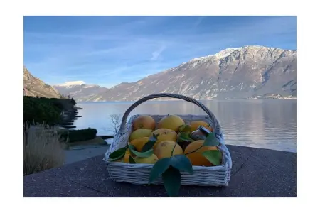 395842, CASA FELICE 2 directement sur le lac : photo 37