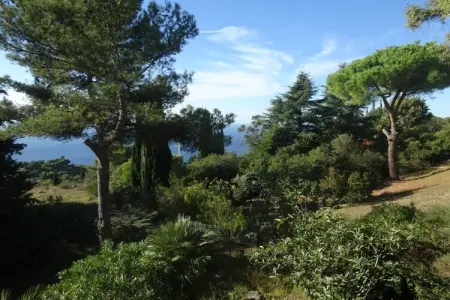 255494, Appartement de vacances avec 1 chambre : photo 3
