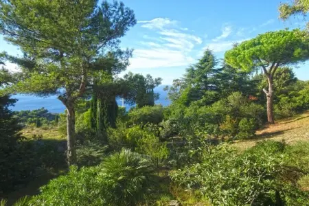255421, Maison de vacances à Cipressa avec piscine : photo 3