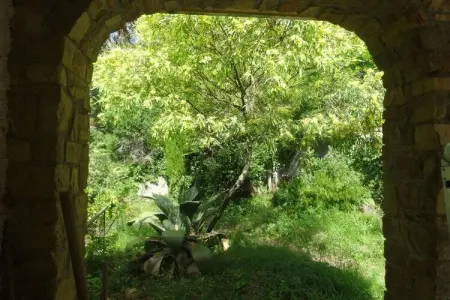 255421, Maison de vacances à Cipressa avec piscine : photo 5