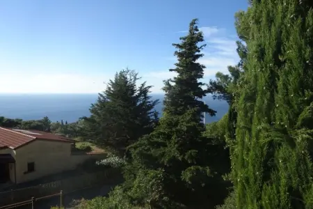 255421, Maison de vacances à Cipressa avec piscine : photo 7