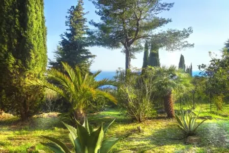 255421, Maison de vacances à Cipressa avec piscine : photo 10