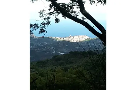 215177, Appartement de vacances à Dolcedo avec barbecue : photo 23