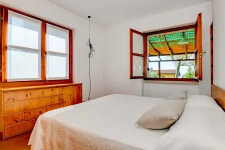 302276, Villa à 1 chambre : photo 33