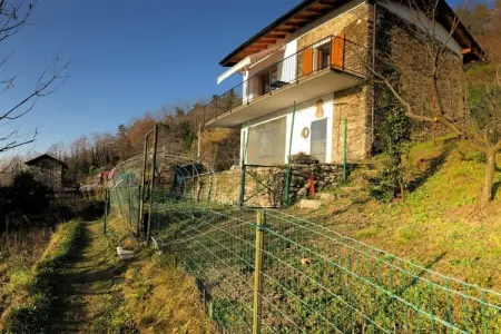 290615, Appartement de vacances avec 1 chambre : photo 2