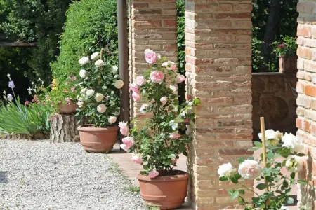 Maison Pomarium avec piscine à Montaione, Toscane : photo 11