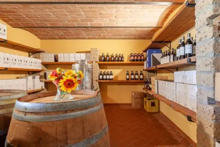 Maison avec piscine et jardin au domaine Il Gattero, Peccioli : photo 21