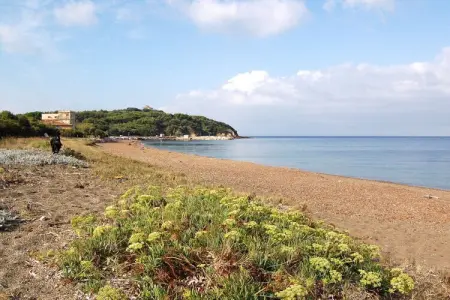 Appartement neuf avec vue mer et balcon, San Vincenzo : photo 19