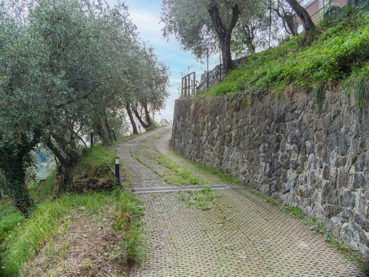 Green Haven, Maison 4 personnes à Moneglia - Photo 36