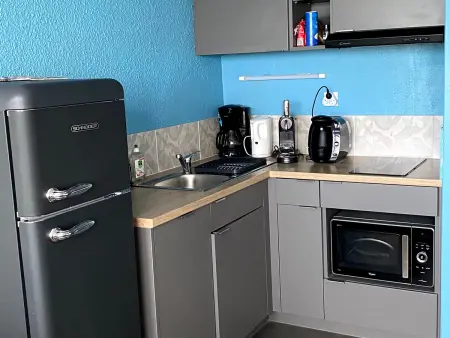 Studio moderne, animaux admis - 4 pers., Appartement 4 personnes à Besse et Saint Anastaise Super Besse : photo 8