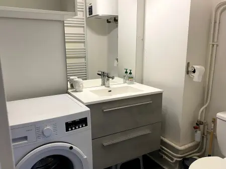 Studio moderne, animaux admis - 4 pers., Appartement 4 personnes à Besse et Saint Anastaise Super Besse : photo 9