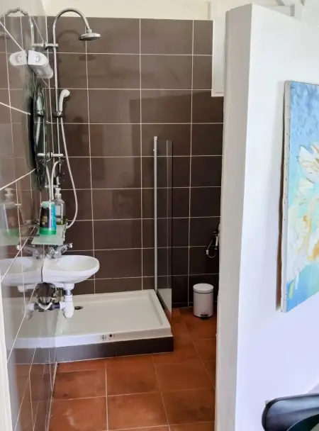 Studio avec piscine privée et clim à Capesterre-de-Marie-Galante : photo 16