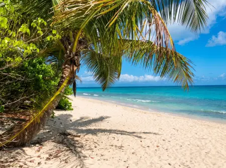 Studio avec piscine privée et clim à Capesterre-de-Marie-Galante : photo 22