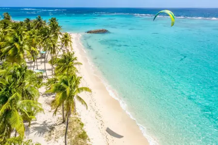 Studio avec piscine privée et clim à Capesterre-de-Marie-Galante : photo 23