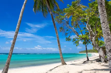 Studio avec piscine privée et clim à Capesterre-de-Marie-Galante : photo 24