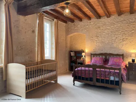 Gîte Maison de charme à La Chapelle-Montligeon, 10 pers., animaux OK : photo 6