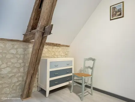 Gîte Maison de charme à La Chapelle-Montligeon, 10 pers., animaux OK : photo 20