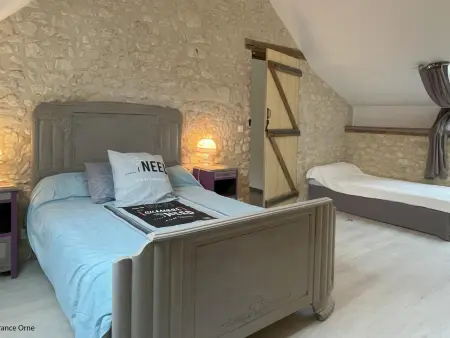 Gîte Maison de charme à La Chapelle-Montligeon, 10 pers., animaux OK : photo 22