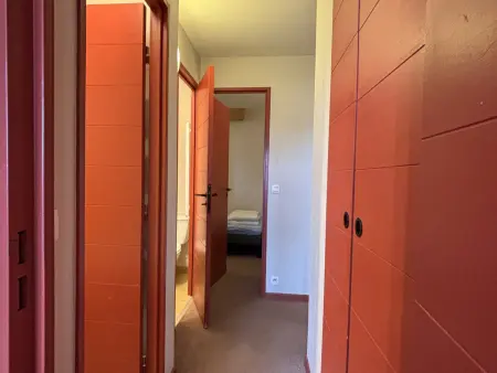 Appartement 2 chambres, 2 balcons Sud-Est, pistes à 100 m à Avoriaz : photo 9