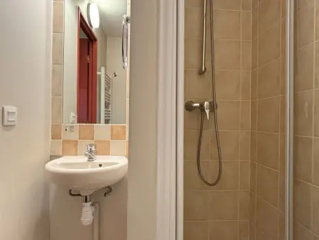 Appartement 2 chambres, 2 balcons Sud-Est, pistes à 100 m à Avoriaz : photo 14
