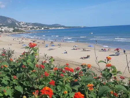 Traum-Ferienhaus mit Privat-Pool direkt am Meer, Maison 6 personnes à Alcossebre : photo 22