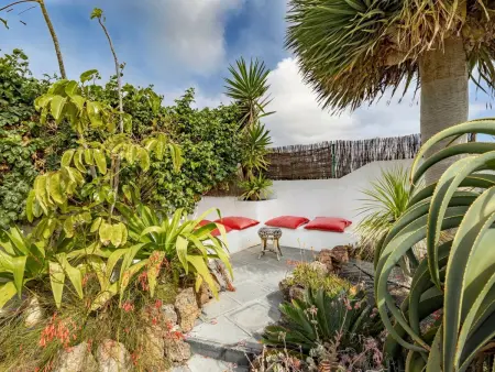 Maison de village avec jardin tropical privé et grill à Guatiza : photo 4