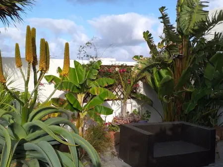 Maison de village avec jardin tropical privé et grill à Guatiza : photo 7