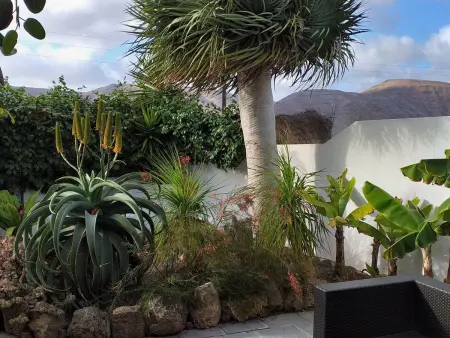 Maison de village avec jardin tropical privé et grill à Guatiza : photo 12