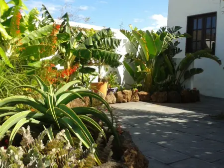 Maison de village avec jardin tropical privé et grill à Guatiza : photo 14