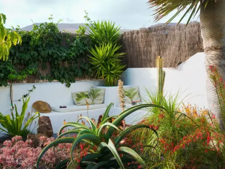 Maison de village avec jardin tropical privé et grill à Guatiza : photo 16