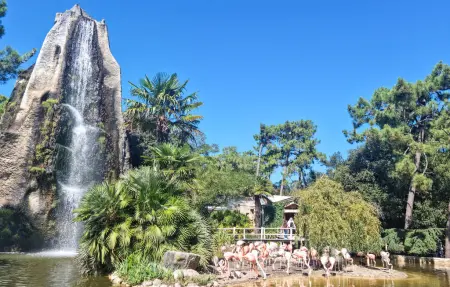Maison 8 personnes à Ile d'Oléron : photo 23