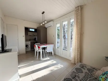 Appartement climatisé, proche plage - 4 pers., Appartement 4 personnes à Argelès sur Mer : photo 7