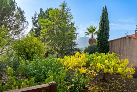 Maison charmante Santa-Maria-Figaniella 25 m², cheminée : photo 11