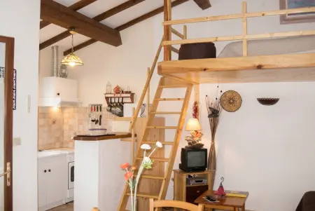 Studio confortable à Santa-Maria-Figaniella 48 m², cheminée : photo 8