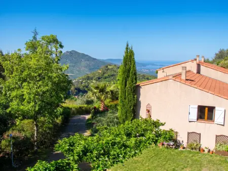 Studio douillet Santa-Maria-Figaniella 48 m², cheminée : photo 3