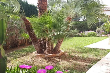 102434, Maison de vacances à Denia avec piscine : photo 13