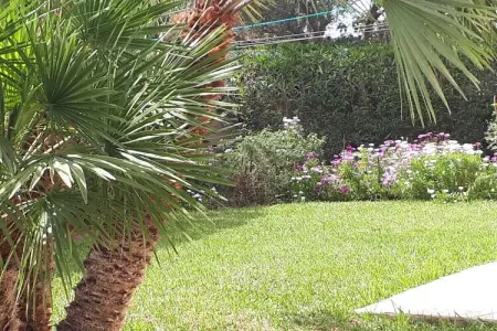 102434, Maison de vacances à Denia avec piscine : photo 14