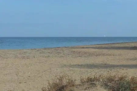 102434, Maison de vacances à Denia avec piscine : photo 34