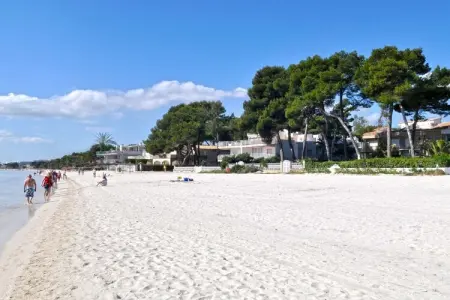 257005, Appartement à Playa de Alcudia avec Wi-Fi : photo 18