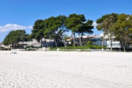257005, Appartement à Playa de Alcudia avec Wi-Fi : photo 19