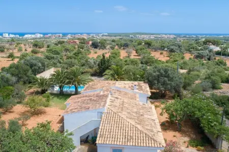 205579, Finca à Cala Millor avec 2 chambres : photo 14