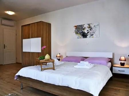 Villa Mata in Bogovići mit Pool und Meerblick, Maison 14 personnes à Krk Milohnići : photo 17