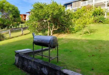 Appartement vue mer Rivière-Pilote 200 m², terrasse : photo 10