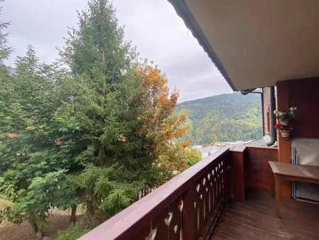 Appartement vue montagne, parking - 5 pers., Appartement 5 personnes à Méribel : photo 4