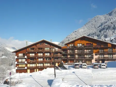 Appartement cosy proche des pistes - 4 pers., Appartement 4 personnes à Arêches Beaufort : photo 3