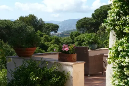 221633, Pinet piscine privée climat Saint Tropez : photo 4