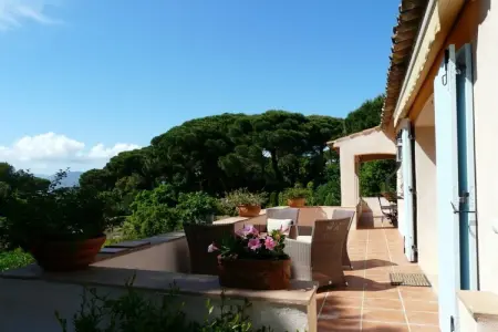 221633, Pinet piscine privée climat Saint Tropez : photo 6