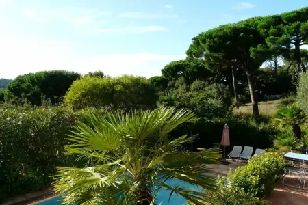 221633, Pinet piscine privée climat Saint Tropez : photo 10